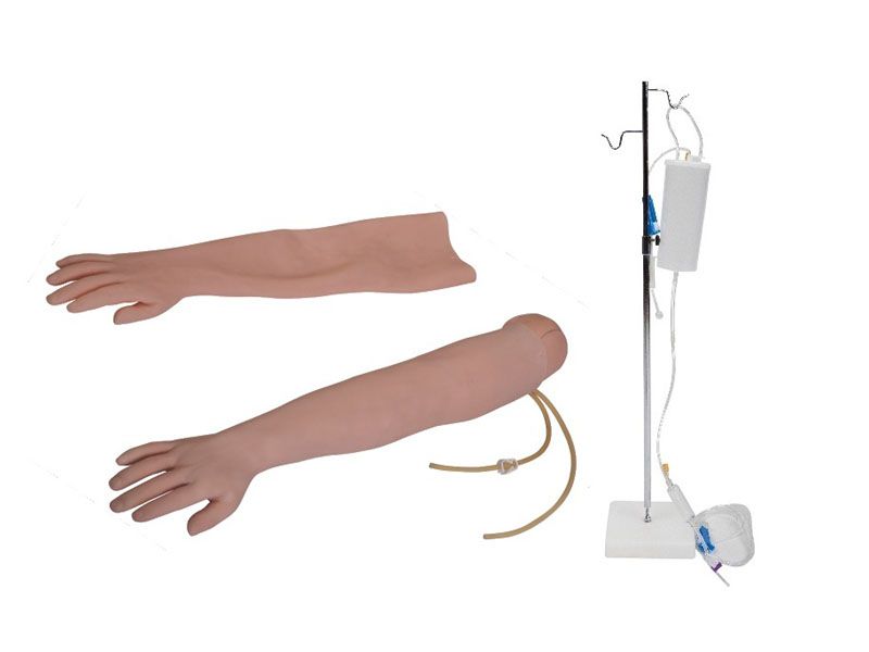 高级手臂静脉穿刺及肌肉注射训练模型（可换外皮）