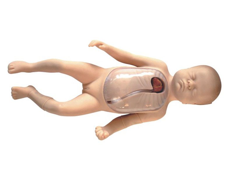 高级 新生儿外周中心静脉插管模型