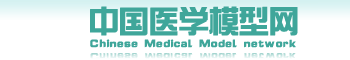 中国医学模型网